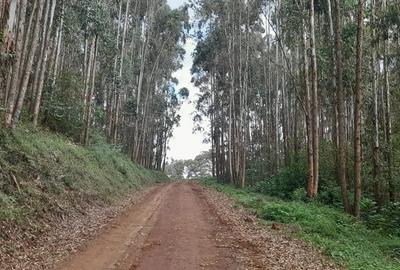 0.5 ac Residential Land at Limuru Girls