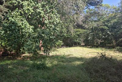 0.75 ac Residential Land at Off Naivasha Avenue - 4