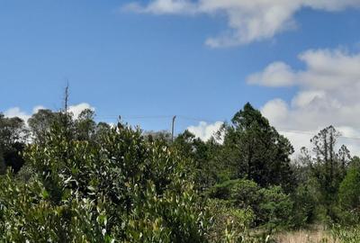 6 ac Land in Nanyuki