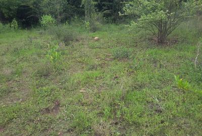 1.5 ac Land in Karen - 4
