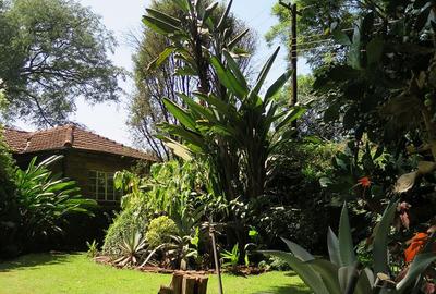 Residential Land at Jacarada Avenue - 4