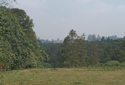 0.5 ac Residential Land in Tigoni