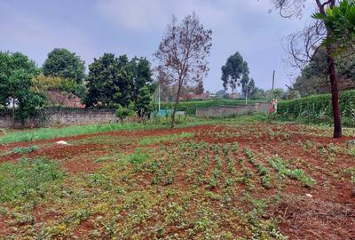 Residential Land at Pan African Insurance Avenue