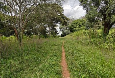 9 ac Land in Karen - 2