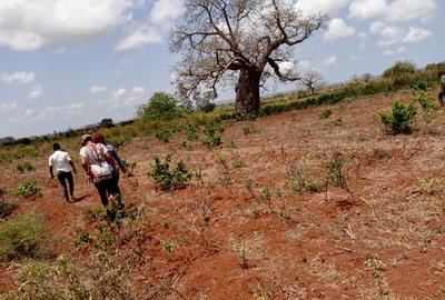 5,000 ft² Land at Mavueni