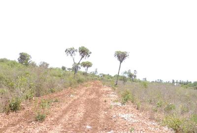 0.25 ac Residential Land at Diani Beach Road