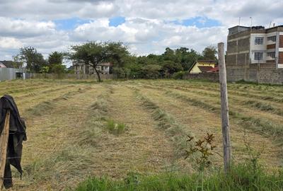 Land at Eastern Bypass