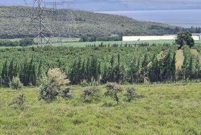 Land in Naivasha - 3