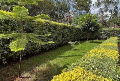 5 Bed House with En Suite in Lavington