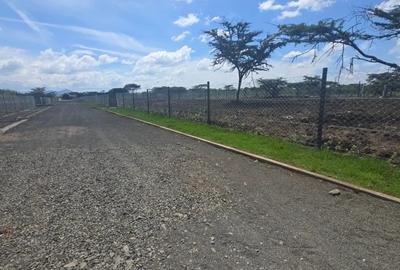 0.25 ac Residential Land in Nanyuki - 3