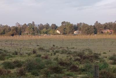 0.5 ac Land at Karen - 3