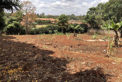 Residential Land in Runda