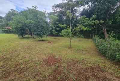 Warehouse at Hardy Area - 2