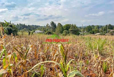0.05 ha Residential Land in Kamangu - 4