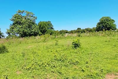 Land at Vipingo - 3