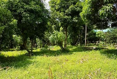 Land at Mtwapa - 3