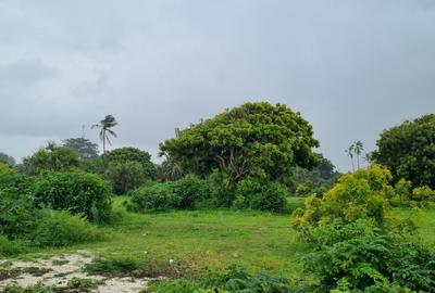 10 ac Land at Kikambala - 2