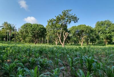 1 ac Land at Mtwapa - 4