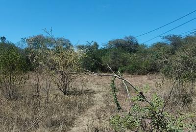 1.19 ac Residential Land at Mukoma - 4