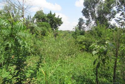 1 ac Land at Runda Grove - 3