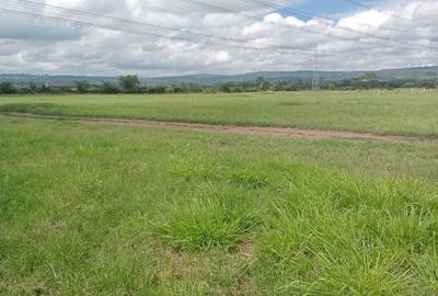 0.125 ac Land at Salgaa