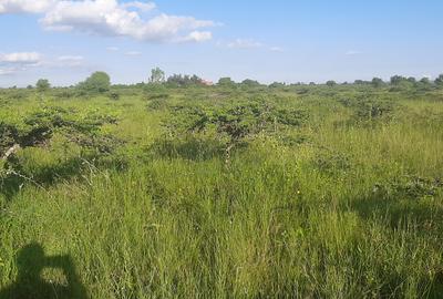 450 m² Residential Land at Leshaoo