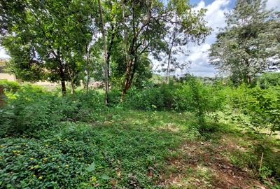 Residential Land at Runda Grove - 3