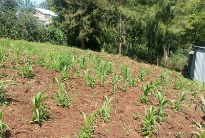 0.125 ac Land in Ngong