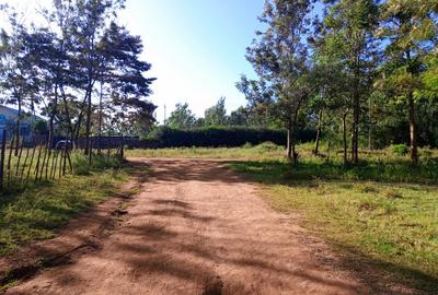0.125 ac Residential Land at Rongai