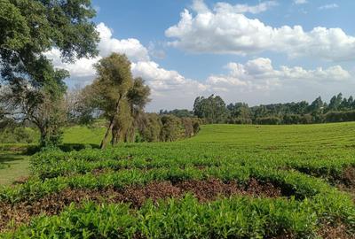 1,550 ac Land at Limuru