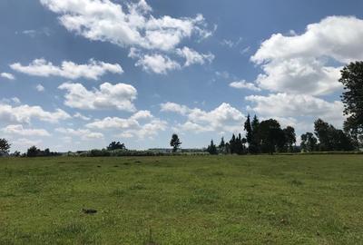 21 ac Land in Cianda - 4