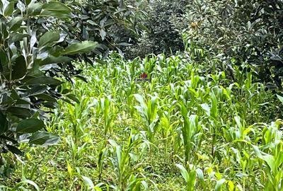 2.4 ac Land at Tigoni