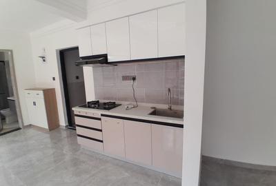 1 Bed Apartment with En Suite in Hurlingham - 4