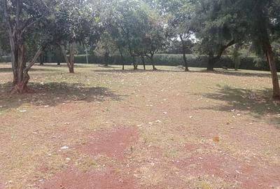 3 ac Land in Karen