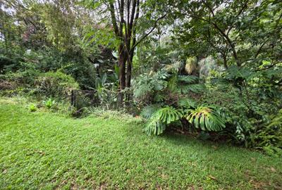 4 Bed House with Garden in Spring Valley - 4