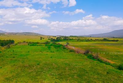 Residential Land in Naivasha - 2