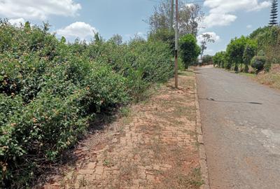 0.5 ac Land in Nyari