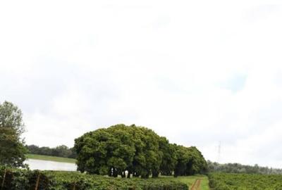 Residential Land at Juja- Gatundu Rd