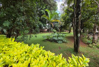 Commercial Land in Lavington - 4