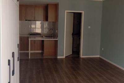 Studio Apartment with Gym at Kilimani Estate Nairobi - 3