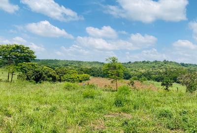 19 ac Land at Kenol-Makutano Highway - 4