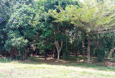 0.5 ac Land at Runda Evergreen