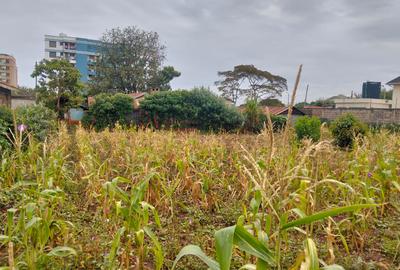 Land at Kirawa Road - 4