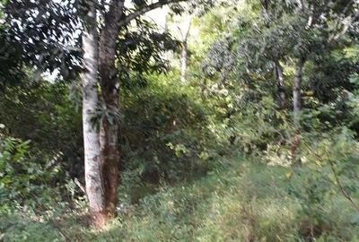 4,047 m² Commercial Land in Kilifi County