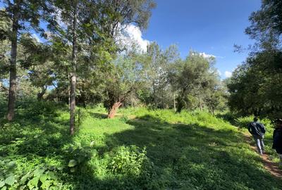 0.5 ac Land in Lake View - 2