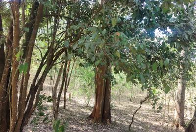 0.5 ac Land at Hardy - 2