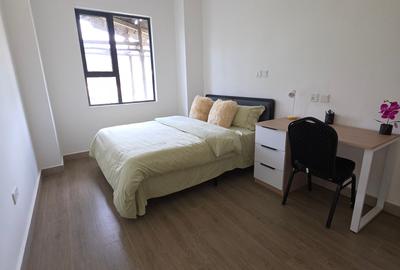 Furnished Studio Apartment with En Suite in Juja - 4
