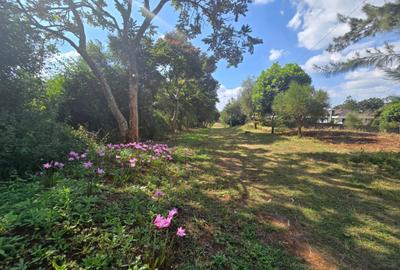 0.5 ac Residential Land in Runda