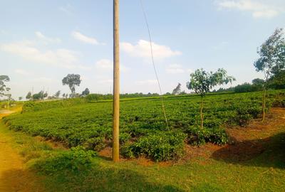 4.8 ac Land in Limuru - 2
