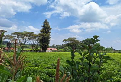 1 ac Residential Land at Tigoni